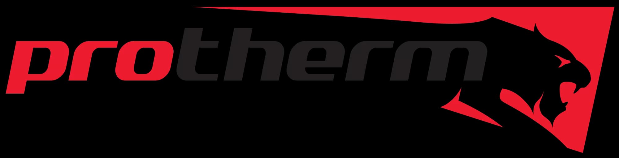 Protherm Kombi Servisi